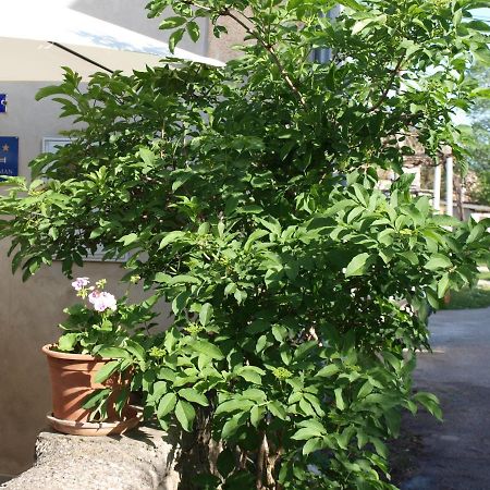 Apartment Krnica N43 Bagian luar foto